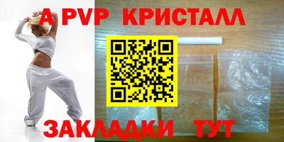 спайс Кингисепп