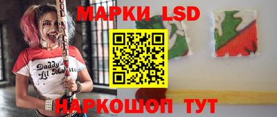 спайс Кингисепп