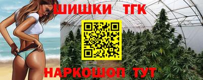 спайс Кингисепп