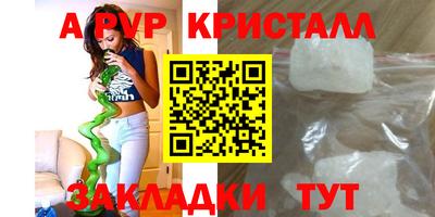 спайс Кингисепп