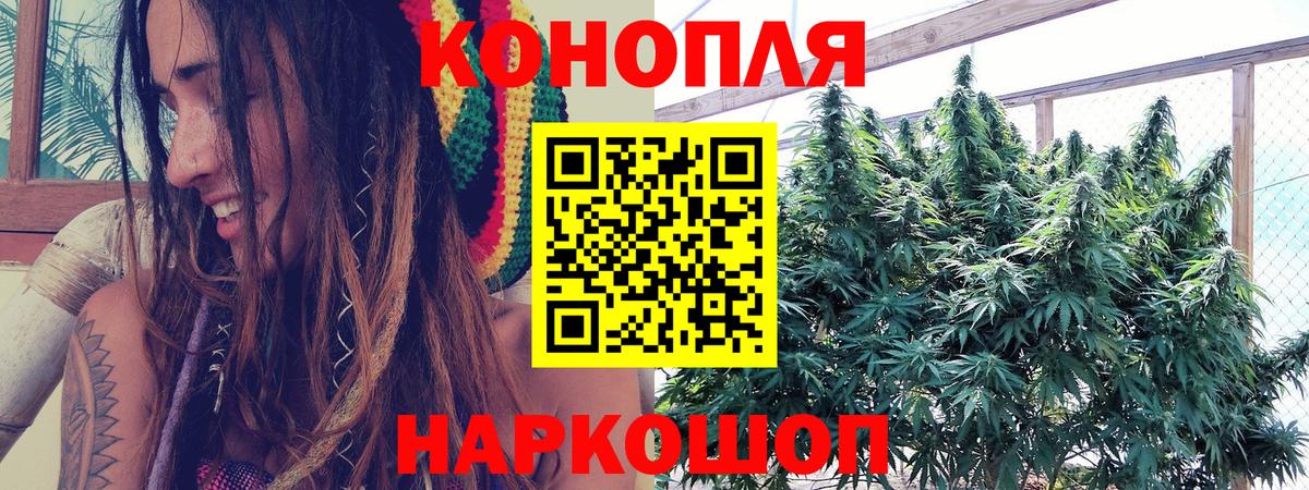 Каннабис Ganja  МАРИХУАНА индика  Курчалой  Шишки марихуана сатива  Вход с VPN  Конопля SATIVA & INDICA 